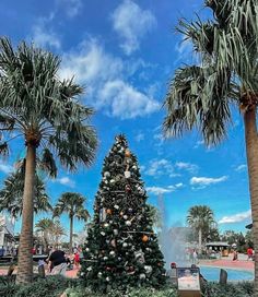 a christmas tree in the middle of palm trees