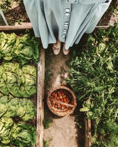 an overhead view of a person's feet standing next to a basket full of vegetables