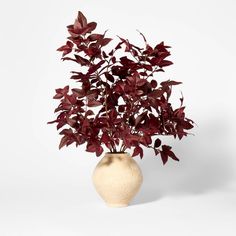 a white vase with red leaves in it