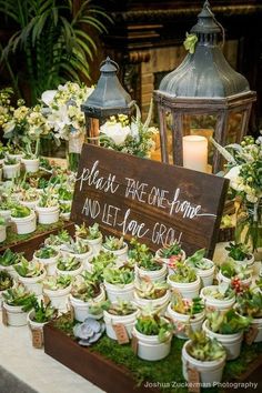 there are many potted plants on display at the table with a sign that says please take one home and let your grow