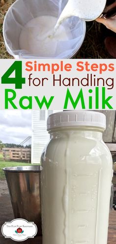 A photo collage of raw milk being poured into a bucked and a jar full of raw milk with the words "4 simple steps for handling raw milk" Homestead Cattle, Homesteading Life, Homestead Animals, Homestead Ideas, Mini Farm