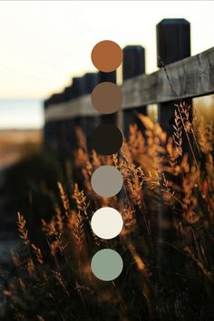 some brown and white circles are hanging from a wooden fence in front of the ocean