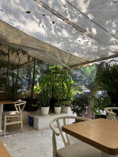 the inside of a restaurant with tables, chairs and potted plants on the table