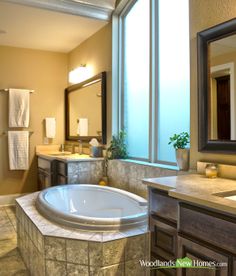 a bathroom with a large jacuzzi tub next to a window