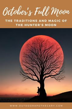 the cover for october's full moon, with a silhouette of a man sitting under a tree