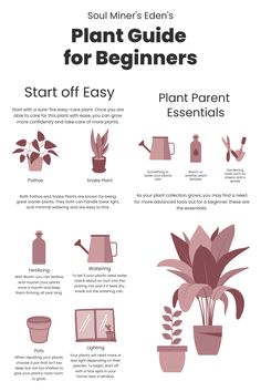 a plant guide for beginners with instructions on how to start and grow plants in pots