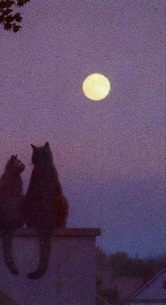 two cats sitting on top of a roof looking at the moon