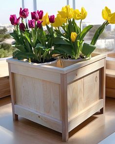 some flowers are in a wooden box on the floor near a window with large windowsills