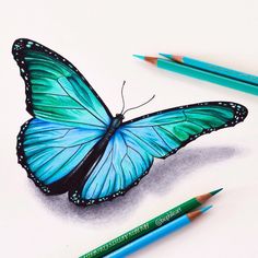 a drawing of a blue butterfly with two pencils next to it