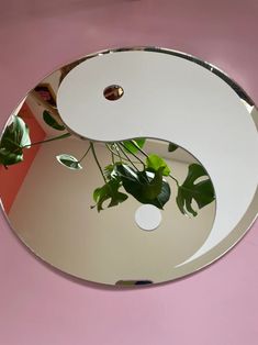 a mirror with a plant in it on a pink wall and a potted plant