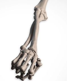 an x - ray image of the bones of a human hand and foot, viewed from above