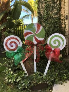 three lollipops with bows on them are sitting in the grass next to some plants