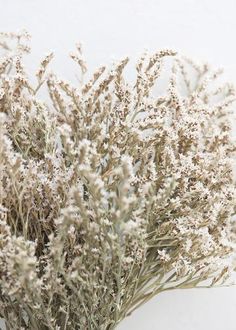 Small Flower Farm, Indian Paintbrush Flowers, Bouquet In A Vase, Wildflower Bridal Bouquets, Gypsophila Flower, Sustainable Flowers, Dried Hydrangeas, Indian Paintbrush