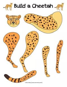 an illustrated book with different types of cheetah