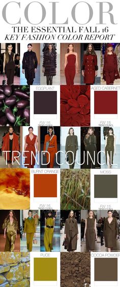 the color trend for fall / winter 2010