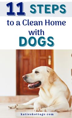 a dog laying on the floor with text that reads 11 steps to a clean home with dogs