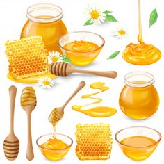 honey and honeycombs with honey dippers, spoons and flowers on white background