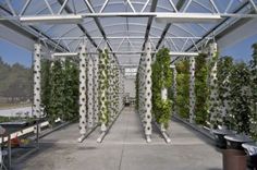 the inside of a greenhouse with many plants growing on it's walls and ceiling