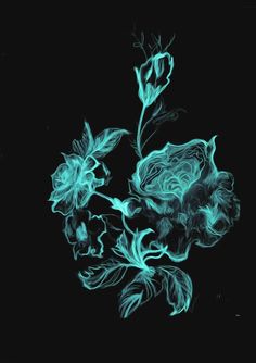 a blue flower on a black background