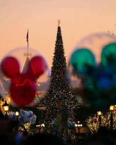 people are looking at the christmas tree in front of disneyland's main street disney world