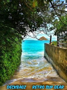 the water is blue and green as seen through some trees