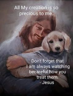 a painting of jesus holding a dog with the words, all my creation is so precious to me don't forget that i am always watching and be careful how you treat them