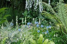 some very pretty flowers and plants in the grass