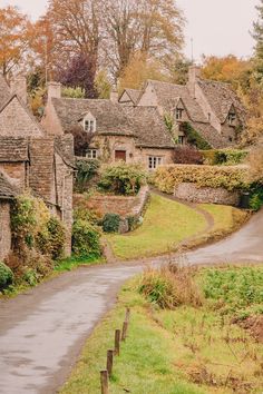 an image of a country road in the fall season with houses on either side and trees lining both sides