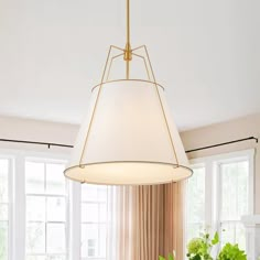 a light fixture hanging from the ceiling over a dining room table with potted plants