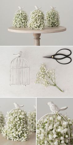 several pictures of white flowers in a birdcage with scissors on the top and bottom