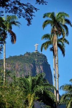 the christ statue is surrounded by palm trees