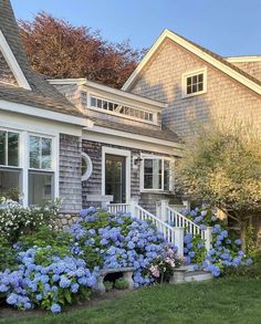 a house with blue flowers in the front yard