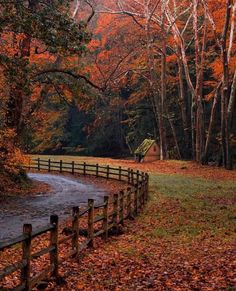 an autumn scene with leaves on the ground and a wooden fence in front of it