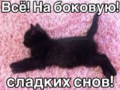 a small black kitten laying on top of a pink rug with the words be ye ha kokobyo in russian