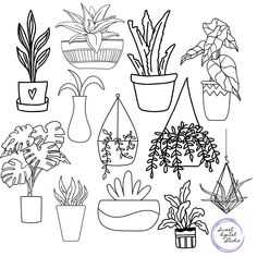 some potted plants are drawn in black and white on a white background with the words,