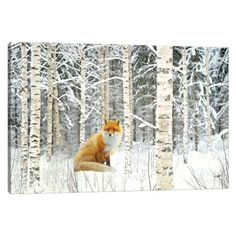 Red Fox And Winter Birch Trees by Laura D Young arrives ready to hang, with hanging accessories included and no additional framing required. Every canvas print is hand-crafted in the USA, made on-demand at iCanvas, and expertly stretched around 100% North American Pine wood stretcher bars. Cottage Den, Winter Birch Trees, Fox In Snow, Wolf Picture, Forest In Winter, Fox Sitting, Birch Tree Forest, Snow Cabin, Cabin Wall Art