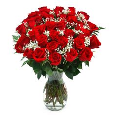 a vase filled with red roses and baby's breath in water on a white background