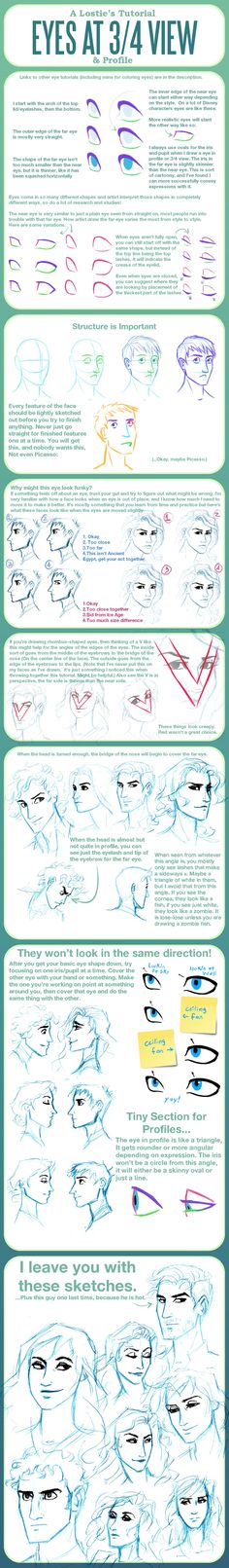 an info sheet showing the different types of eyes