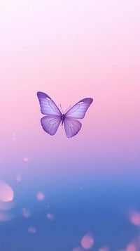 a purple butterfly flying in the air with bubbles on it's back ground and blurry background