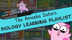 the amoeba sisters'biology learning playlist