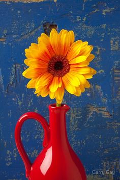 a bright yellow sunflower in a red vase against a blue wall with peeling paint