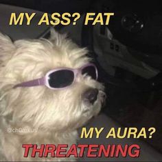 My Aura, Monday Mood, A Dog, Aura