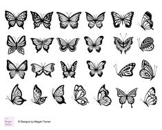 a bunch of butterflies that are drawn in black ink on white paper, each with different wings