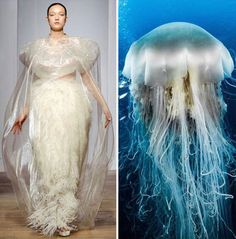 Sea Inspired Fashion, Fashion Store Design, Jellyfish Costume, Fashion Show Themes, Fish Costume, Nature Inspired Fashion, Haute Couture Details, Runway Fashion Couture, Fashion Drawing Tutorial