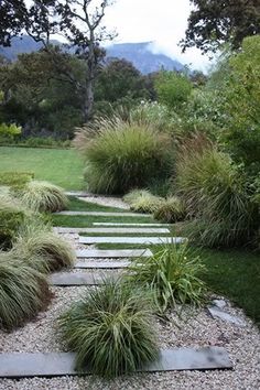 a garden with lots of plants and stones on the ground, along with gravel walkways