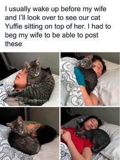 a woman laying in bed with two cats on top of her and the caption reads, i usually wake up before my wife and i'll look over to see our cat