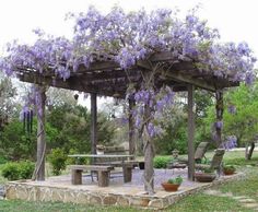 a picnic table and bench under a pergoline covered arbor with purple flowers on it