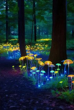 many glowing mushrooms in the woods at night