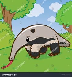 an anteater is walking in the grass near trees