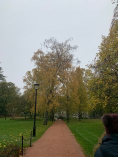 a person walking down a path in a park with trees on both sides and a lamp post at the end